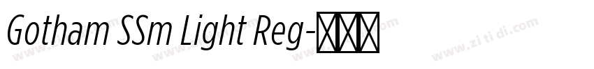 Gotham SSm Light Reg字体转换